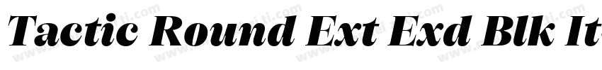 Tactic Round Ext Exd Blk It字体转换
